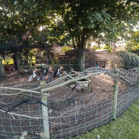 Feriehus The Shepherd's Rest *