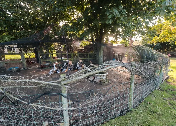 Casa vacanze The Shepherd's Rest *